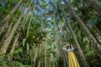 東南植物楽園