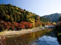 香嵐渓の写真