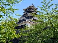 熊本城(銀杏城)の写真