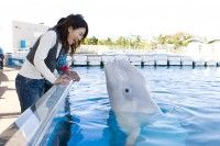 横浜・八景島シーパラダイスの写真