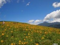 霧ヶ峰高原の写真