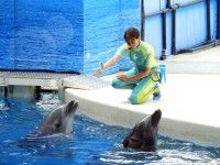 新江ノ島水族館