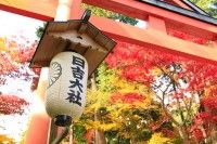 日吉大社