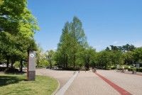 あづま総合運動公園