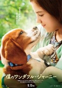 少女と犬が互いを想う眼差しに、幸せな涙の予感満天！『僕のワンダフル・ジャーニー』日本オリジナルポスター完成