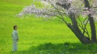 実話を元に描かれた、霧の街の七つの記憶の物語。大杉漣の未公開映画『モルエラニの霧の中』