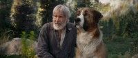 ハリソンの犬への“愛”と“絆”が深すぎる！『野性の呼び声』心震える感動の特別映像公開