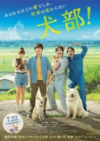 「生きてるものはみんな助ける！」『犬部！』予告映像＆ポスタービジュアル解禁 Novelbrightの初映画主題歌