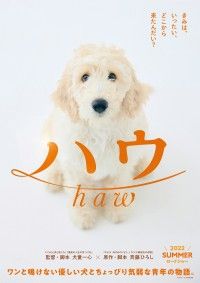 ワンと鳴けない優しい犬と青年の物語『ハウ』2022年夏映画化決定!!超特報映像も解禁