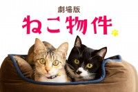 ドラマ「ねこ物件」8月映画化決定!!超特報初解禁 即入居を決めたくなる癒し満載のシェアハウス