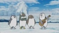 秦 基博がペンギンに！？はたペンギンが活躍するショートアニメ公開『映画ざんねんないきもの事典』