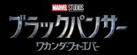 最新作がついにベールを脱ぐ…『ブラックパンサー／ワカンダ・フォーエバー』11月11日(金)日米同時公開！特報映像・ビジュアルも到着