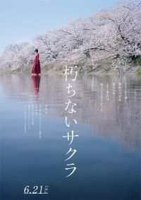 主演 杉咲花にて実写映画化決定！『朽ちないサクラ』6月21日(金)全国公開 ティザービジュアル・コメント解禁