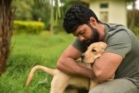 犬は人生を変える！インド映画「チャーリー」映像解禁第一弾 運命の出会い…チャーリー、ダルマに一目惚れ編