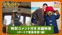 松坂桃李＆パディントンが贈る！『パディントン 消えた黄金郷の秘密』特別コメント＆本編映像解禁