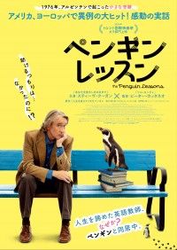 「スティーヴ・クーガン主演映画『ペンギン・レッスン』12月5日(金)公開決定！予告、ポスター解禁」イメージ画像