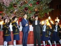 映画「迷宮のしおり」コラボ 横浜赤レンガ倉庫クリスマスツリー点灯式で河森監督と新しい学校のリーダーズが語るロケ地横浜へ...