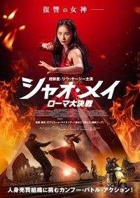 「皆はこう呼んだ、鋼鉄ジーグ」の監督が放つイタリアン・カンフー・アクション「シャオ・メイ／ローマ大決戦」