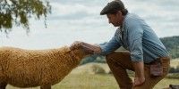 「ひつじ探偵団」ヒュー・ジャックマンらキャスト陣が作品を語る映像公開
