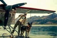 ブラッド・ピット主演。退役軍人が愛犬と共にアラスカでサバイバルを展開する「ハート・オブ・ビースト」