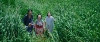 新鋭・蔡融霖監督のSF青春映画「ミラクルサマー」が第39回東京国際映画祭アジアの未来部門に出品