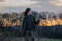 オオタカとの暮らしで人生を取り戻す。クレア・フォイ主演「オオタカと私」