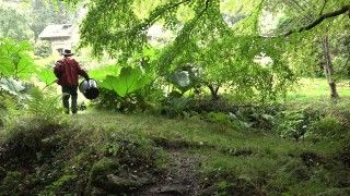 ”できるだけあわせて、なるべく逆らわない”フランスの庭師のドキュメンタリー映画『動いている庭』特別トークイベント開催
