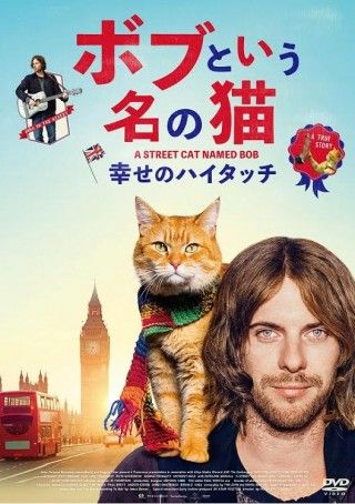 『ボブという名の猫 幸せのハイタッチ』ブルーレイ＆DVD本日発売！保護猫ちゃんしあわせフォトコレクション