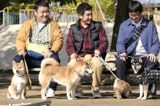 4月8日は「柴犬とおっさんの日」！？映画『柴公園』記念日協会が認定！犬が日本初の授与２