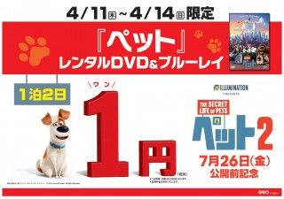 映画『ペット２』犬にちなんでたったの１円!?2019年4月11日(木)～4日間限定！対象2本以上同時レンタルでスペシャルシールプレゼント