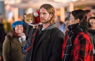 世界中で愛され続ける奇跡の大ヒット猫映画『ボブという名の猫2』(仮) 2021年公開!