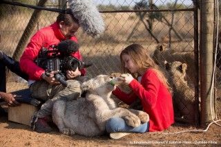 モフモフの赤ちゃんライオンに胸キュン間違いなしの特別映像公開『ミアとホワイトライオン　奇跡の1300日』１