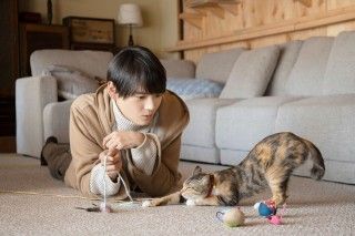 ドラマ「ねこ物件」8月映画化決定!!超特報初解禁 即入居を決めたくなる癒し満載のシェアハウス２