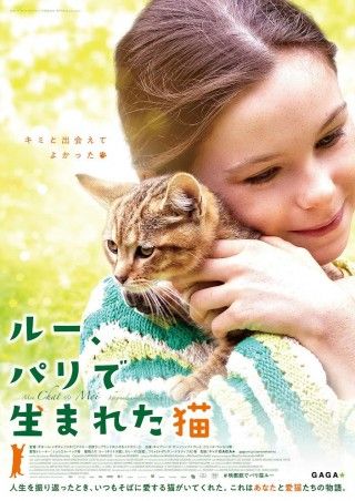 猫好き悶絶必至！猫が好きなあなたに贈る、猫への感謝の物語『ルー、パリで生まれた猫』公開決定！ポスタービジュアル解禁