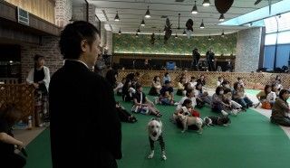 前代未聞！50匹のわんこが観客に！『THE オリバーな犬、(Gosh!!)このヤロウ MOVIE』わんこ試写会１