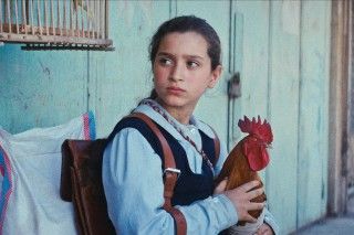 『大統領のケーキ』特報、場面写真解禁！監督の実体験から生まれた、知られざる宝物のような物語２