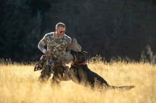生きて、マイホームへ還ろう『ハート・オブ・ビースト』退役軍人と義足の愛犬が生命の歩みを共にする本予告＆場面写真解禁１