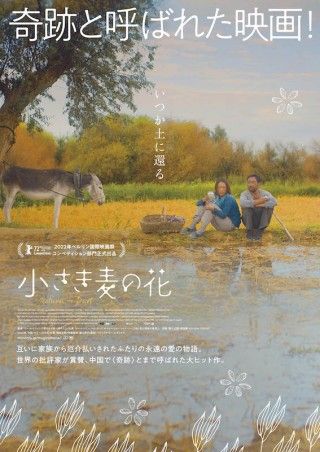 慎ましく生きる農民夫婦の愛を描いた “奇跡の映画”「小さき麦の花」１