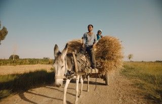 慎ましく生きる農民夫婦の愛を描いた “奇跡の映画”「小さき麦の花」３