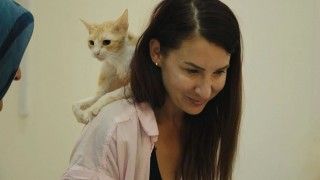 野良猫たちの国境を越えた“家探し”に密着「猫たちと7000マイルの旅」２