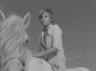 アルベール・ラモリスの珠玉作「赤い風船」「白い馬」が4Kリマスター版で公開２