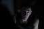 アカデミー賞俳優エイドリアン・ブロディに注目＆メイキング写真解禁『クリーン　ある殺し屋の献身』1