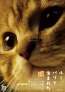 世界猫の日記念！『ルー、パリで生まれた猫』“猫LOVE”あふれる予告編2種類・猫チラシ解禁