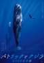 クジラに魅せられたカメラマンと2組のクジラの友情物語 「パトリックとクジラ 6000 日の絆」ポスタービジュアル・予告編解禁